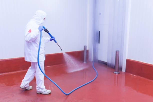 Best Sidewalk and Walkway Cleaning  in Nicoma Park, OK